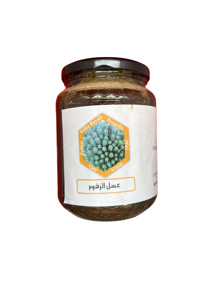 عسل الزقوم